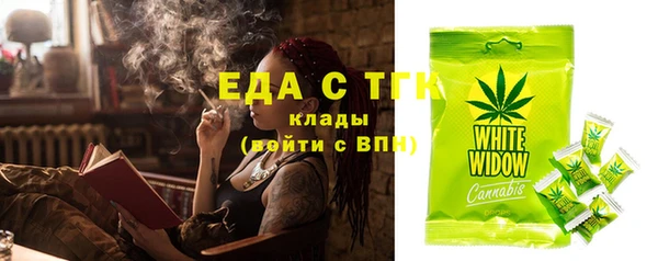 стаф Арсеньев