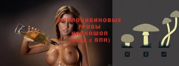 стаф Арсеньев