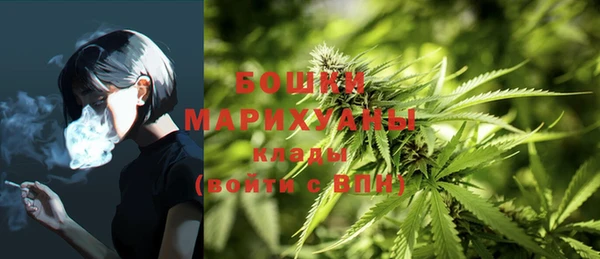 стаф Арсеньев