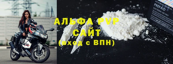 стаф Арсеньев