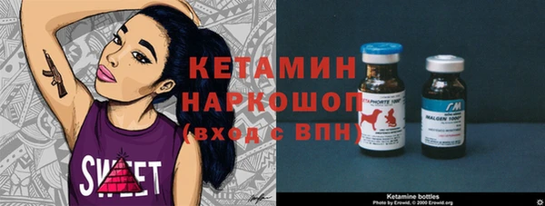 стаф Арсеньев