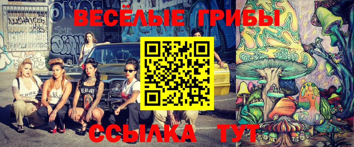 Галлюциногенные грибы GOLDEN TEACHER Белово