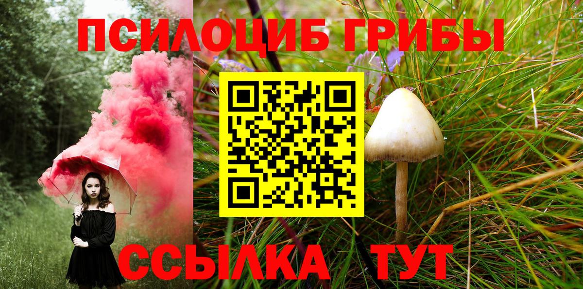 Галлюциногенные грибы MAGIC MUSHROOMS  Вход с VPN  Белово 