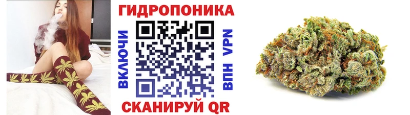 Конопля план сколько стоит Белово